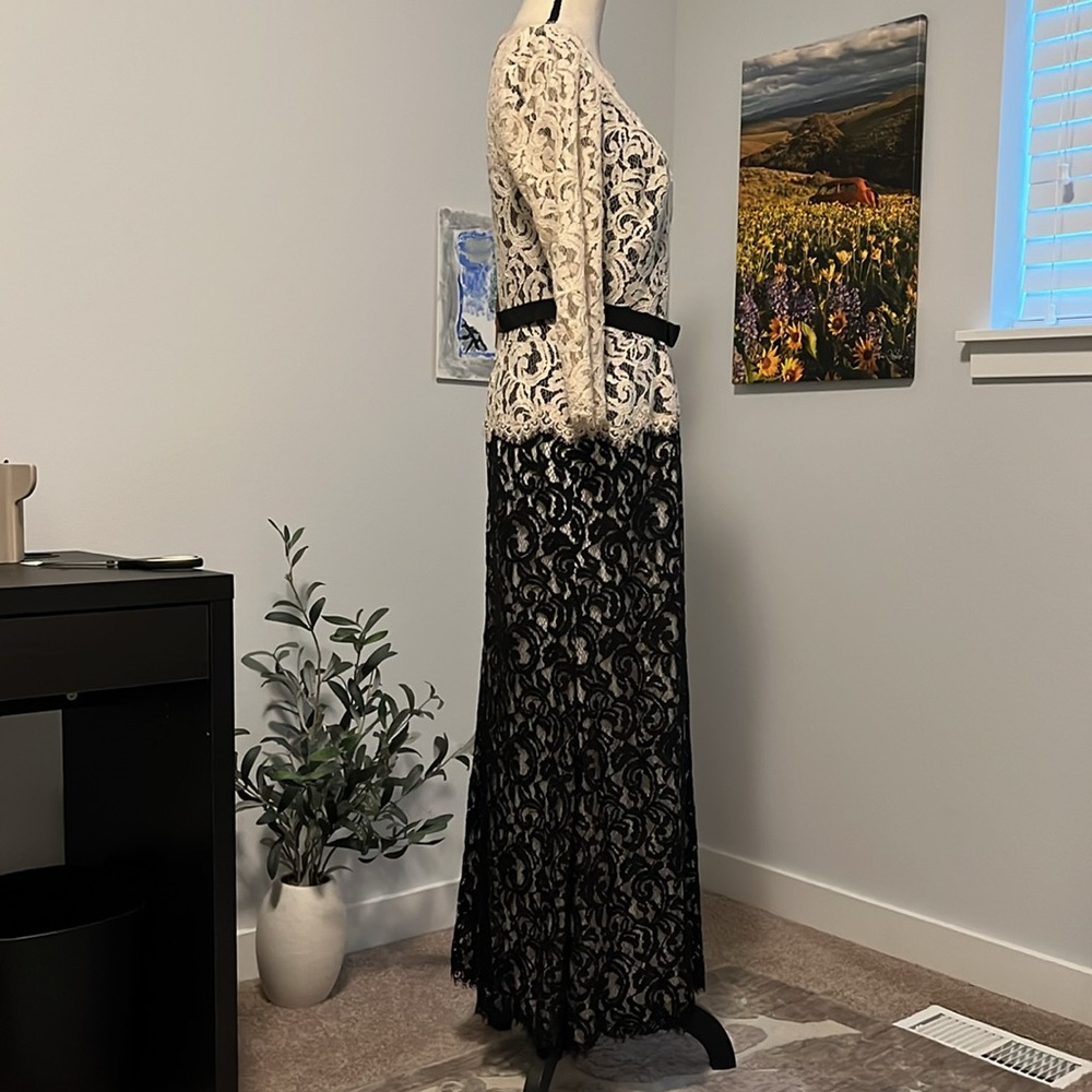Tadashi Shoji Chantilly Lace Gown - Picture 11 of 15